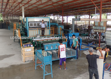 Gas Fuel Type Automatic Egg Tray Machine  Paper Pulp Recycling Production Line