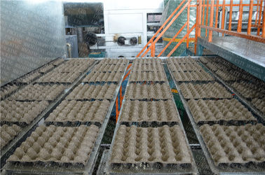 Corrugated Paper Egg Tray Manufacturing Machine 6 - Layers Dryer Drum Type