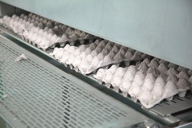 Fruit / Egg Tray Production Line , Apple Tray Making Machine